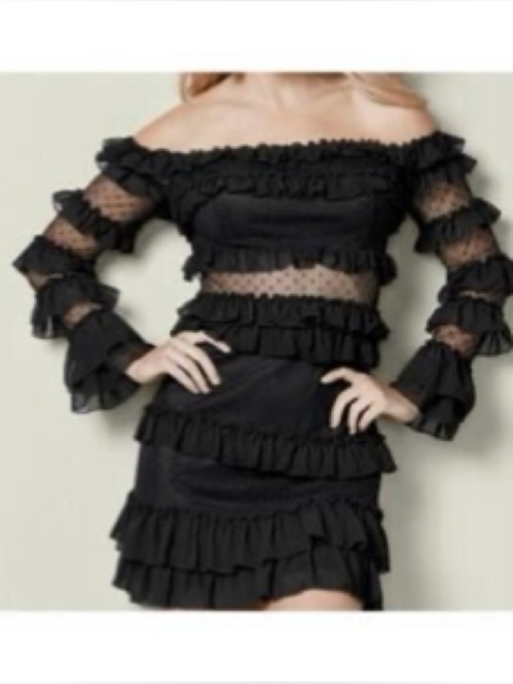 Venus Black Long Sleeve Off Shoulder Mesh Mini Dress